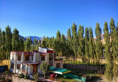 4 View Ladakh | 5 Mins walk from Leh Mall Road