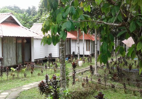 Havelock Nagri Resort