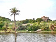 Shikar Oudi Jungle Villa, Udaipur Shikar Oudi Jungle Villa, Udaipur