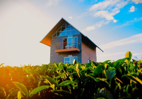 Cloud Canopy Vagamon-Tea Garden Pool Resort in Vagamon