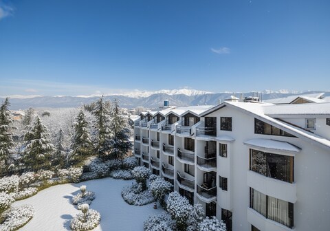 Hotel Paradise Premium - Dal Lake