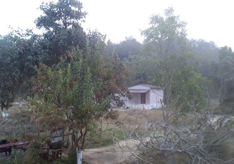 The Dark wood Resort