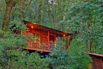 Ayar Jungle Camp, Nainital Ayar Jungle Camp, Nainital