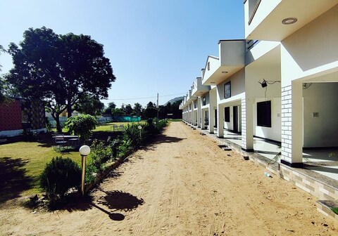 Hotel Mango tree, Pushkar