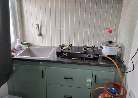 Urban Forest View penthouse