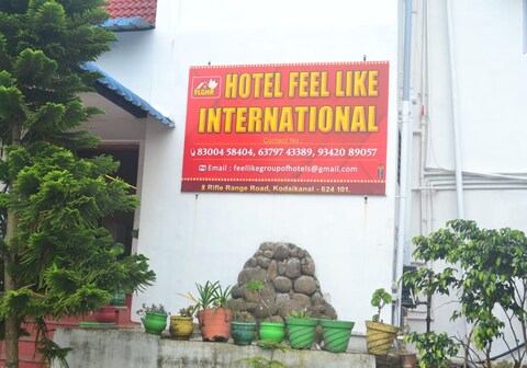 Feel Like international