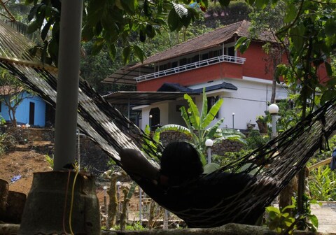 Manor Magnifico - Nature