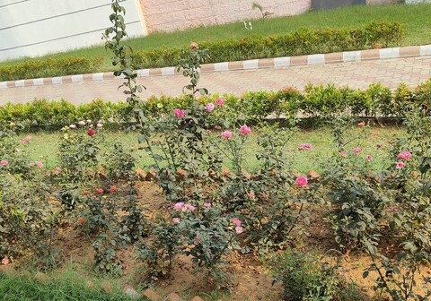 HAVANA HOTEL & RESORT