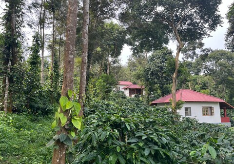 Charming Nest Estate Stay