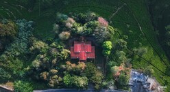 The Heritage coonoor-Ecoraganicstays, Ooty The Heritage coonoor-Ecoraganicstays, Ooty