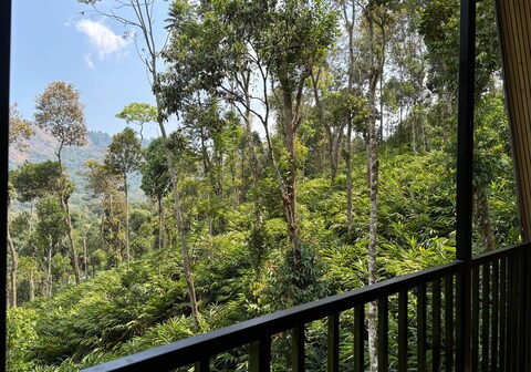 Silver Trees Aframe Cottages