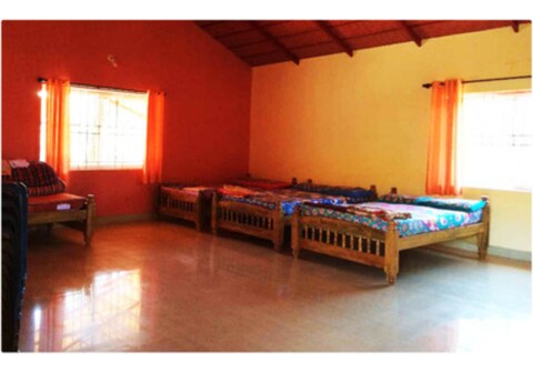 Deep Forest Near Jhari Falls