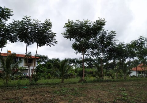 BR Hills Homestay Accommodation Vanasiri