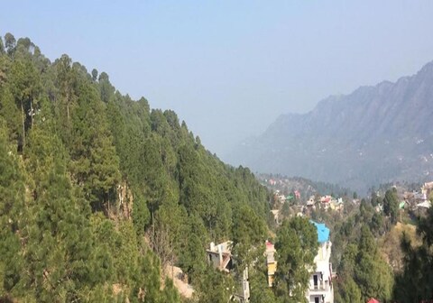 Daffy Alone- 3BHK Apartment