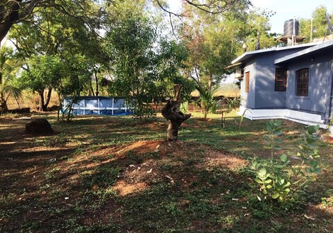 The Peacocks Villa Anjuna