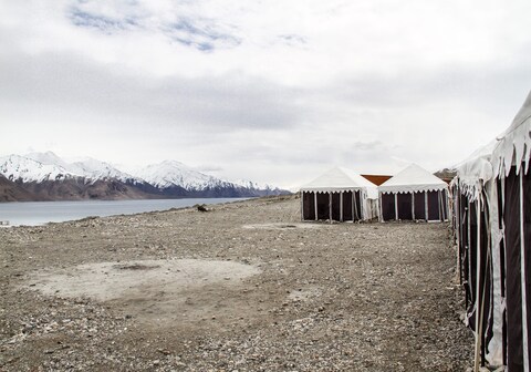 Wild Camp Pangong