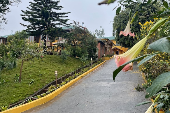 Habba Kadal Kashmiri Heritage Hotel