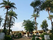 Silver Oak Valley, Mount Abu Silver Oak Valley, Mount Abu