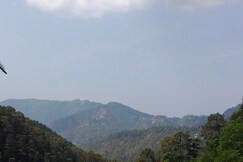 Tree View, Shimla Tree View, Shimla
