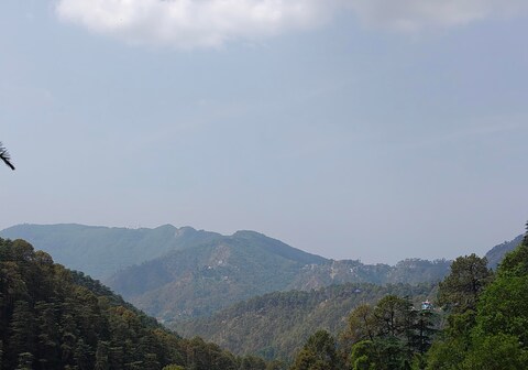 Tree View