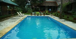 Turmerica Wayanad, Wayanad Turmerica Wayanad, Wayanad