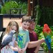 Bird Show