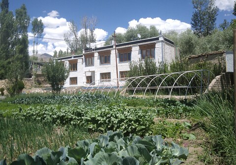 Kushu Guest House | Your Cozy Haven with Personalized Care