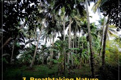 Sea Pearl Homestay, Murudeshwar Sea Pearl Homestay, Murudeshwar