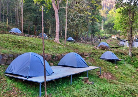 Wilde troupe camping grounds yercaud