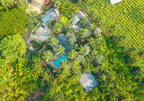 Farmstead Ayu Haven by Divit