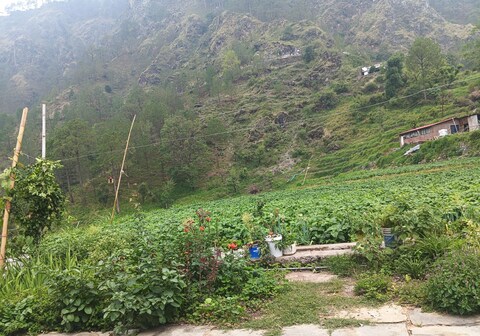 The lali buransh homestay