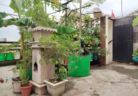 Nigam HomeStay- Near Mahakal Temple Ujjain