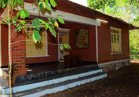 Delight view planters