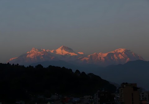 Shekhar's Place