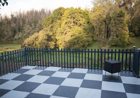 RR Forest view