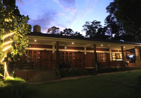 Avocado Cottages | Rooms & Kitchen