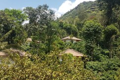 Darimane, Sringeri Darimane, Sringeri