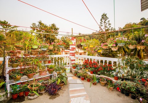 Madhumita's Homestay | Rooms & Terrace