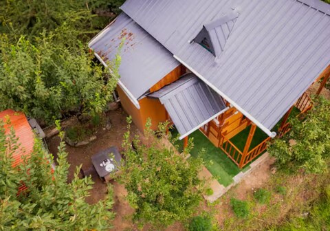 Wooden heaven tirthan valley