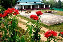 Coffee grove homestay, Chikmagalur Coffee grove homestay, Chikmagalur