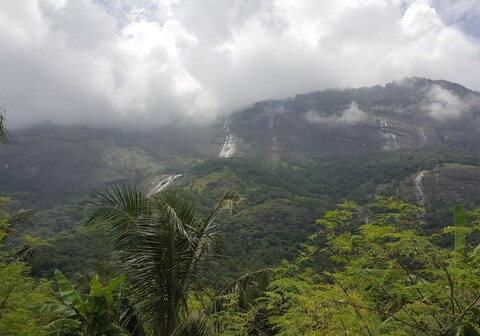 Mango Village Palakkad