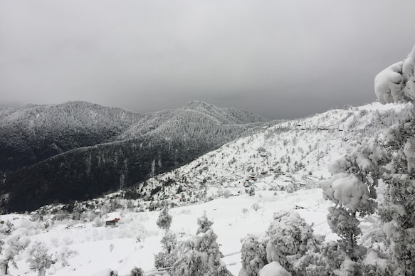 Hotel Himalayan Escape Restaurant and Bar, Kufri