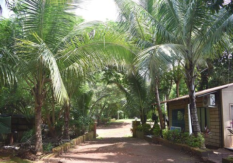 APULKI NIWAS - HOMESTAY, MURUD DAPOLI