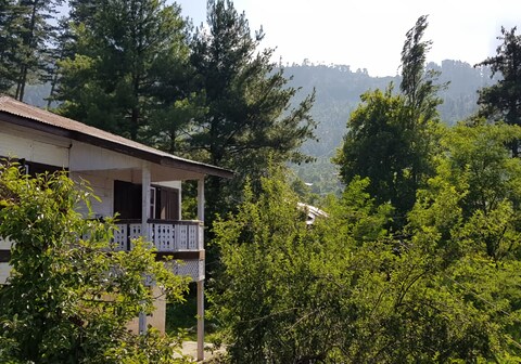 Patnitop Heights Hill Cottage