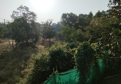 Quietude your peaceful escape into nature