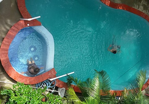 White Dove | Entire 5 BHK Pool Villa