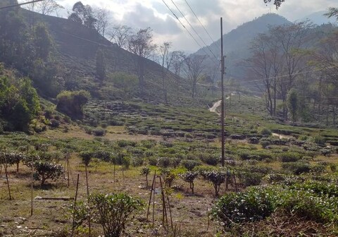 BIZZU VALLEY RETREAT