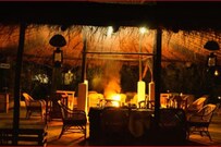 Whispering Grass, Bandhavgarh Whispering Grass, Bandhavgarh