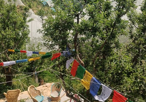 Himalayan Yew Homestay and Camps by StayApart