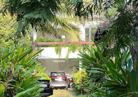 Rain Home Stay | Artifical Rain Setup in Lush-green setting